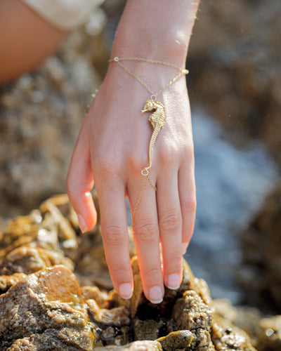 Seahorse  Handcuff