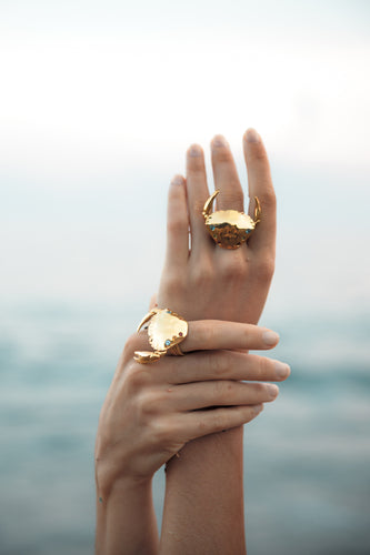 Sebastián Ring
