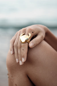 Sebastián Ring
