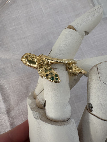 Green shades turtle